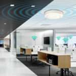 Network Equipment Services